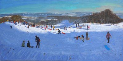 Allestree Park Derby, 2013 von Andrew Macara